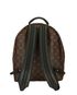 Palm Springs MM backpack, back view
